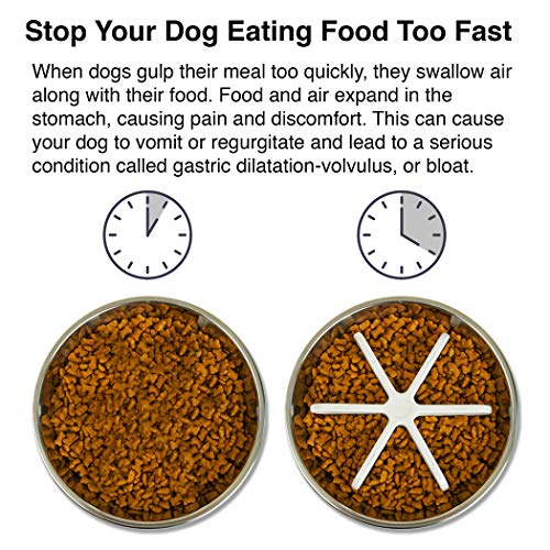 Slow Feeder Insert for Dog Bowls - 5.5" x 5.5" x 2" Snowflake Design Slow Feeder Dog Bowls Accessories with Suction Cup - Easy to Clean Oleophobic Dog and Cat Feeding Pet Supplies - Image 4