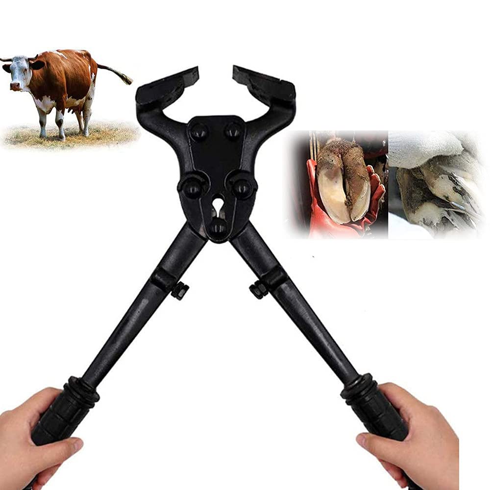 BAtlam Horse Hoof Farriers Nipper, Horse Equine Metal Tijeras Farriers Farriers Cutters Herramientas Profesionales para Recortar Cascos de Caballos para Reparar Cascos de Animales