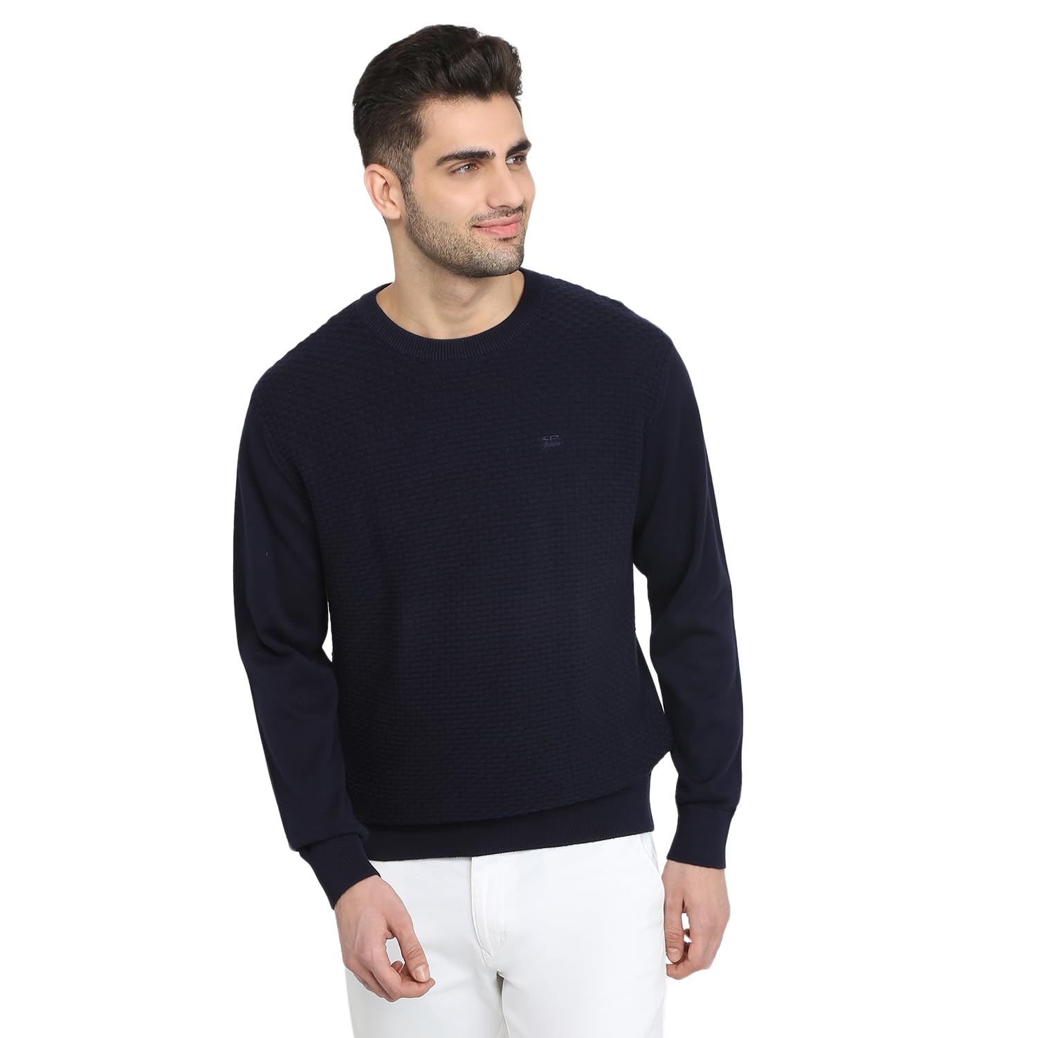 colorplus Men Full Sleeve Regular Fit Jacquard Pattern Pure Cotton Round Neck Round Neck Casual Winter Wear-picture-39