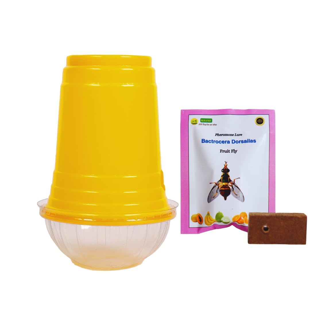 Fruit Fly Trap with Dorsalis Lure (Yellow) (35 Units) (B0DHHB4J19) Amazon Price History, Amazon Price Tracker