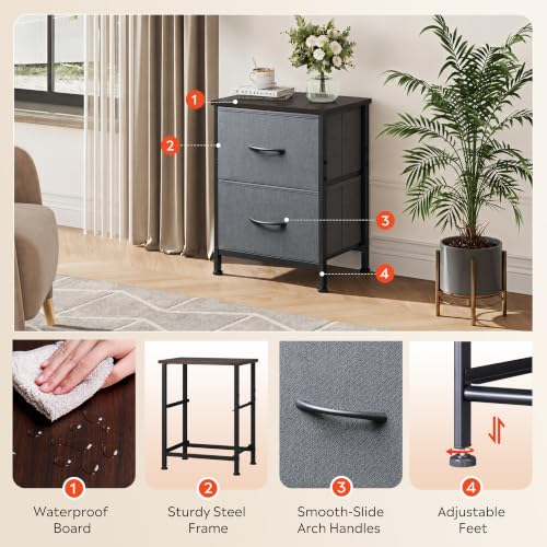 WLIVE Nightstand, 2 Drawer Dresser for Bedroom, Small Dresser with 2 Drawers, Bedside Furniture, Night Stand, End Table with Fabric Bins for Bedroom, Closet, Entryway, College Dorm, Dark Grey