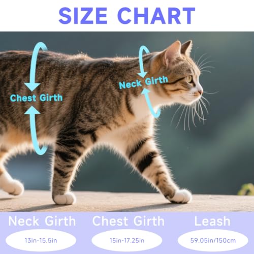 MOTIBACK Katzengeschirr mit Leine Ausbruchsicher, Metallring, Leichtes Weiches Reflektierendes Verstellbares Geschirr für Kleine Katzen zum Spazieren und Reisen. (S)