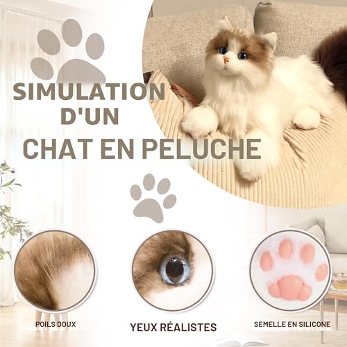 Peluche réaliste chat Ragdoll Chongker compagnon de vie - 3