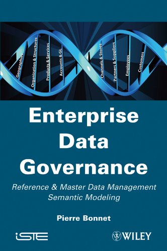 Télécharger Enterprise Data Governance: Reference and Master Data Management Semantic Modeling (English Edition) Gratuit