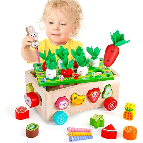 KmmiFF Montessori Toys for 1 Year Old,Wooden Shape Sorter Toys for 1 2 3 Year Old Girl Boy Gifts,Toddler Toys Learning Educational Sensory Toys for Kids Age 1-4,Birthday Gifts for Baby Toys 12 Months Cover