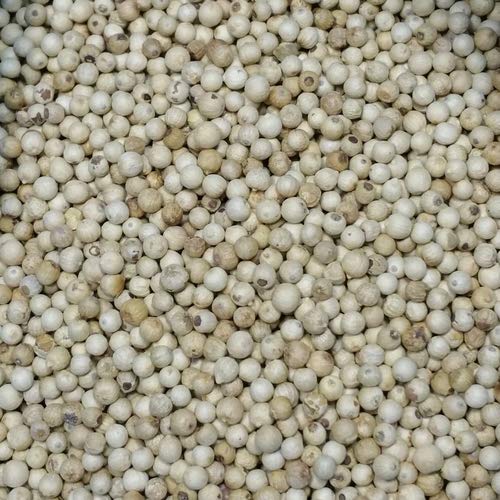 Organic White Peppercorns (Piper nigrum) Dried Herb (50g)