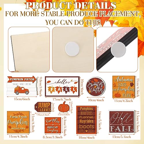 Blocs à épices décoratifs et citrouilles pour centre de table