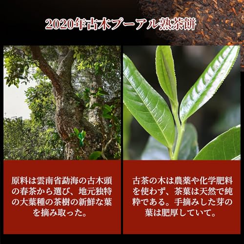 XIXICHA 普洱茶 典藏普洱熟茶餅 357g