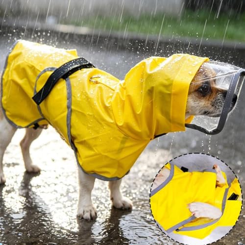Impermeable para perro con capucha transparente que soluciona los paseos estresantes en días lluviosos 4