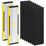 CHIVALZ FLT4825 Filter B Replacement for FLT4825 HEPA Replacement Filter, Compatible with Air Purifier AC4825 AC4300 AC4800 AC4900 AC4850, 2 Hepa Filters + 8 Carbon Filters, 2 Pack
