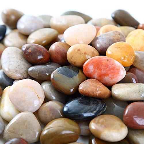 Vellenty Products 2LB Aquarium Gravel River Rock Stones - Natural Polished Fish Tank Rocks for Terrarium - Decorative… - Image 3