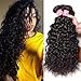 Nadula 8A Brazilian Virgin Hair Water Wave 3 Bundles Wet and Wavy 100% Unprocessed Virgin Human Hair Extensions Natural Color (12 14 16 Inch)