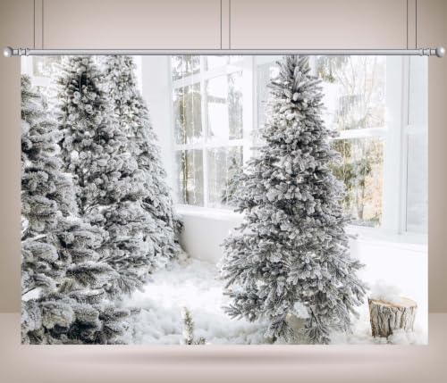 Arrière-plan photo Noël 4.6x3m sans pli pour studio - 2