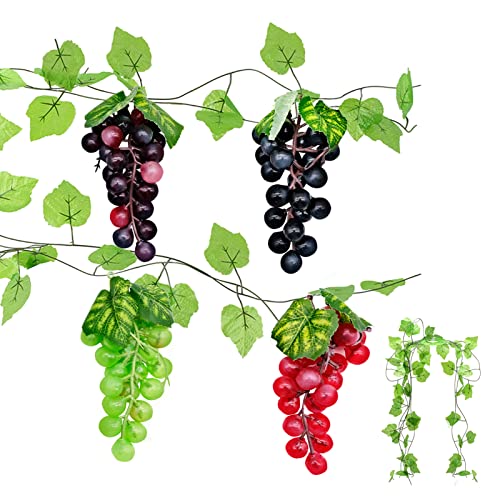 Hojas De Parra Lidl ️ 2024