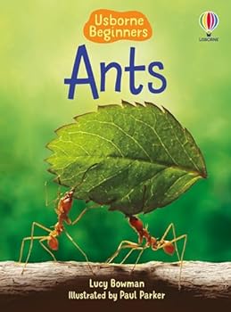 Ants (Beginners)