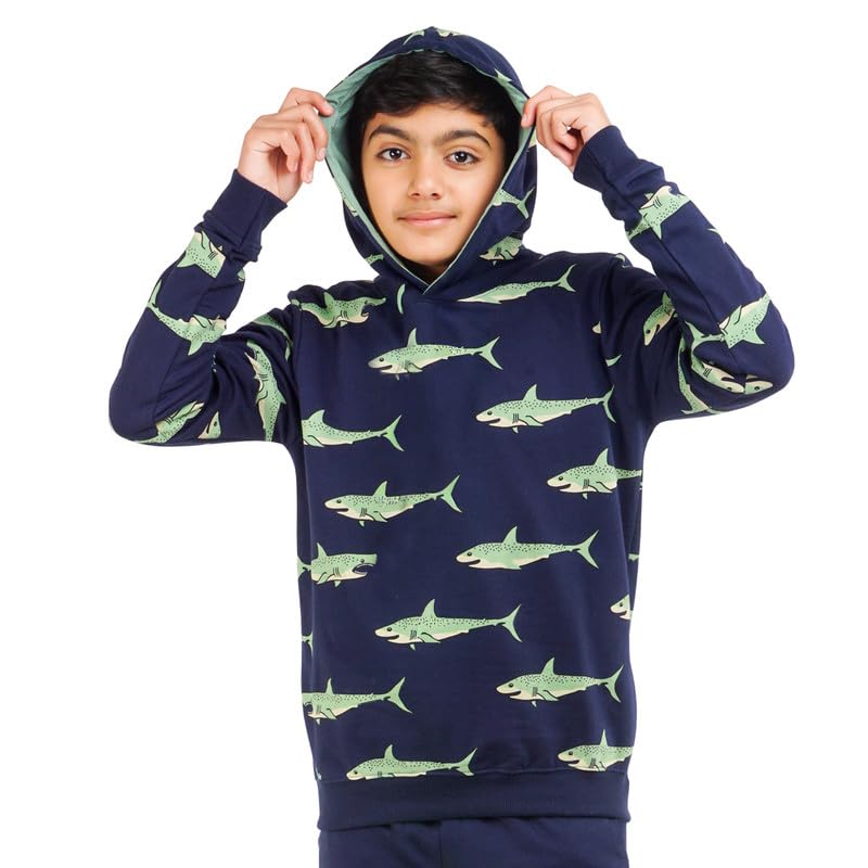 Image of Real Basics Boys Cotton Hooded Sweatshirt(Pack of 1)