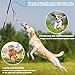 Aitmexcn Reizangel Hunde, Ausziehbare Hundespielangel mit Robustem Seil, Trainingsspielzeug für Kleine, Mittlere und Große Hunde