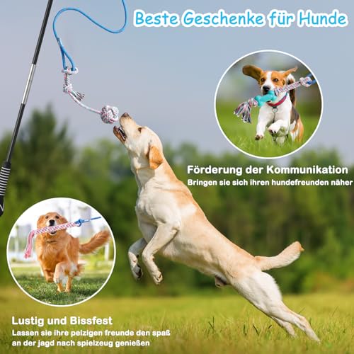 Aitmexcn Reizangel Hunde, Ausziehbare Hundespielangel mit Robustem Seil, Trainingsspielzeug für Kleine, Mittlere und Große Hunde