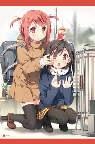 Amazon.co.jp: 【カントク】B2タペストリー・冬至 : おもちゃ