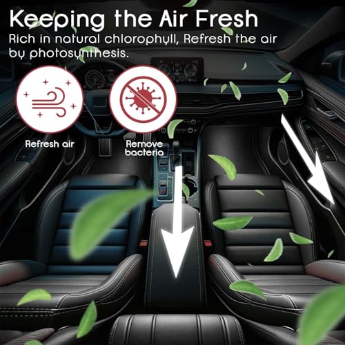 Image of Strawberry Car Air Freshener | 100ml | Premium Sweet Car Perfume with Twist-Control Aroma | Long-Lasting Strawberry Car Scent up to 60 Days|Odor Eliminator for Car Dashboard, Cabin, Home & Office