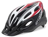 Giro Indicator Sport Bike Helmet