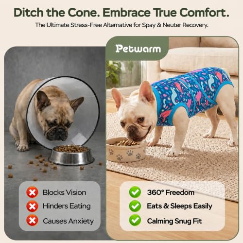 Image of PetWarm Dog Recovery Suit After Surgery, Dog Bodysuit, Substitute E-Collar and Cone, Pet Surgery Recovery Suit, Female Male Dog Onesie for Spay Neuter, Dinosaur Pattern, Multi-Colored, 2XL