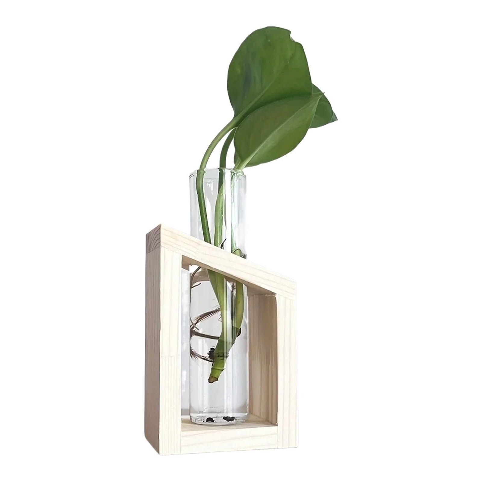 QuxetlRyz Glass Hydroponic Vase Test Tube Glass Vase Plant Propagation Station Hydroponic Vases for Plants with Wooden Stand Terrarium Office Home Desktop Decor