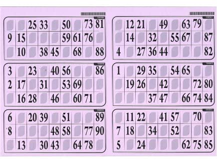 cavernedesjouets Carton de Jeu Loto - 6 grilles sur Une Plaque 29x20cm, Epais Rigide 1 mm, Usage Frequent - Coloris Lilas - Set ccessoire et Carte