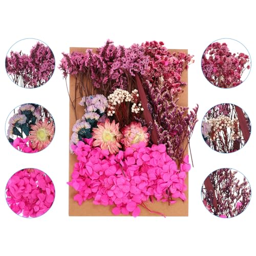Flores secas de rosa para manualidades DIY miniatura 3