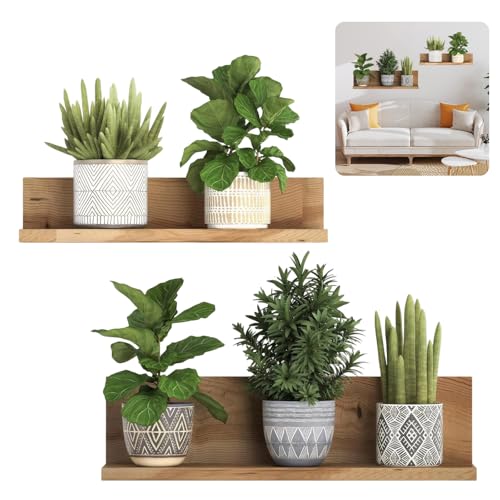 Fyrdm Pegatinas de Pared Plantas Verdes, Decoración Adhesiva 3D Pared Plantas y Hojas Verdes, Vinilo Decorativo Florero, para Salón, Oficina, Hotel o Cocina, Estudio