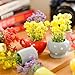 8pcs Cute Mini Magnetic Vase for Fridge-Decorative Flowers Magnets, Funny 3D Ceramic Refrigerator Magnets,vase Magnets for Fridge,Decoration for Home, Kitchen, Office, School, Locker (8pcs Plant)