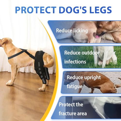 Image of Double Dog Knee Brace for Torn Acl Hind Leg, Double Dog Leg Sleeve,Acl Brace For Dogs Rear Leg for Support, Built-In Hard Metal Spring Support, Outer Night Reflective Strip, Adjustable Strap (Large)