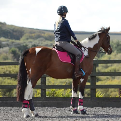 Image of Woof Wear Club Brushing Boot