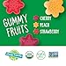 YumEarth Holiday Organic Gummy Fruits 15ct Box Allergy Friendly Christmas Candy, Dye Free, Gluten Free, Non GMO Fruit Snacks