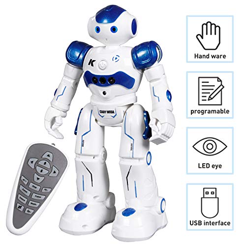 SGILE RC Robot Toy, Programmable Intelligent Walk Sing Dance Robot for Kids Gift