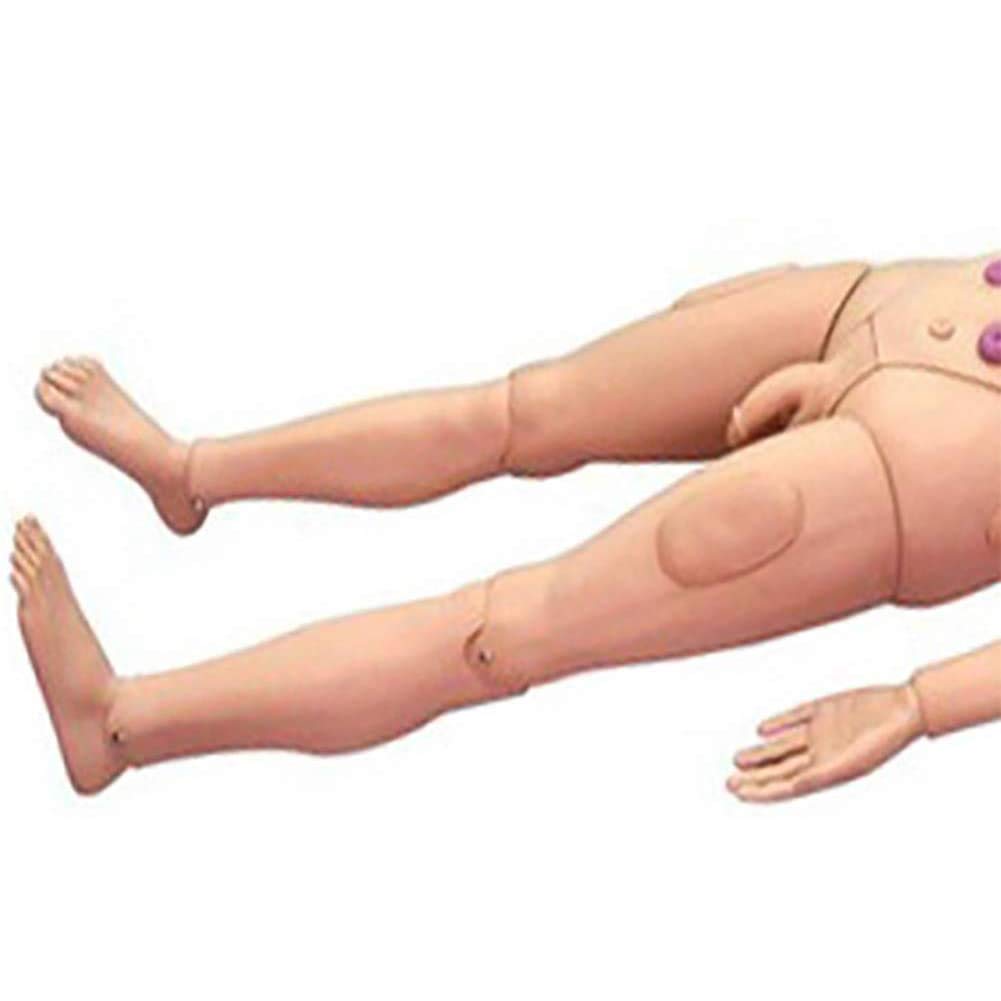 DDT Krankenpflege Pflegepuppe Multifunktional Patientenversorgungssimulator 170CM Nursing Medical Ausbildung Lehre Bildung Medizinische Versorgung Altenpflege