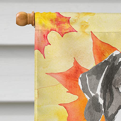 Drapeau English Pointer Automne Caroline's Treasures Grand Format Multicolore