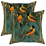 Luxury Baltimore Oriole Throw Pillow Covers 16x16 Set of 2, Soft Comfy Vintage Farmhouse Branch Pillow Cases Kit, Bird Velvet Decorative for Couch Sofa Living Room Bed