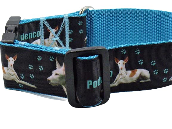 Halsband 'Podenco' Größe SM bis 40 cm Halsumfang