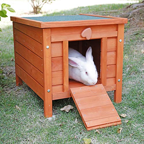 ROCKEVER Feral Cat Condo for Outdoor Cats Insulated, Wooden Bunny House Outdoor Autumn Blonde