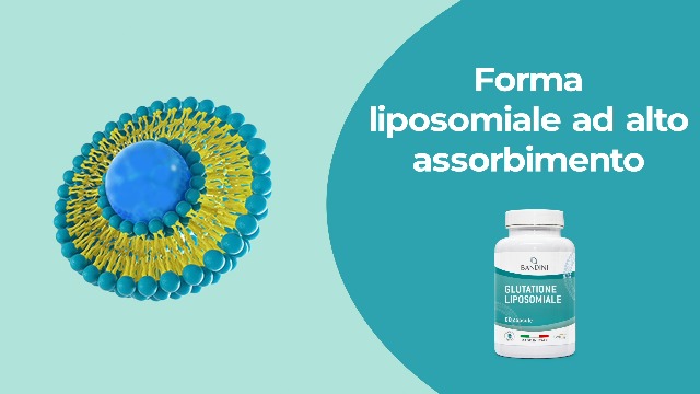 Bandini Glutatione Liposomiale 60 Capsule | 250mg L-Glutatione Setria Ridotto e Bioattivo da fermentazione | Antiossidante e Anti Invecchiamento - Contrasta I Radicali Liberi | Senza OGM, 100% Vegan : Amazon.it: Salute e cura della persona Bandini Glutatione Liposomiale 60 Capsule | 250mg L-Glutatione Setria Ridotto e Bioattivo da fermentazione | Antiossidante e Anti Invecchiamento - Contrasta I Radicali Liberi | Senza OGM, 100% Vegan : Amazon.it: Salute e cura della persona