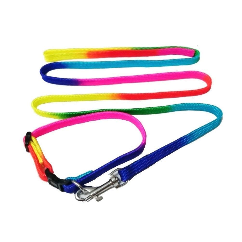 PSK Nylon Rainbow Colorful Dog Leash and Collar Set, Suitable for All Small & Medium Dog Breeds (B07ZYQLSQN) Amazon Price History, Amazon Price Tracker
