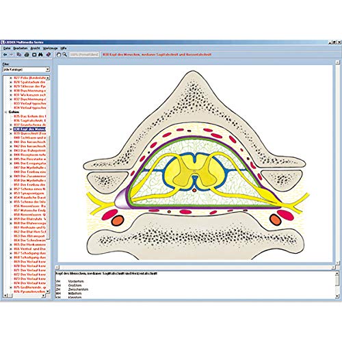 Sistema nervoso e trasmissione delle informazioni Parte II, CD-ROM interattivo
