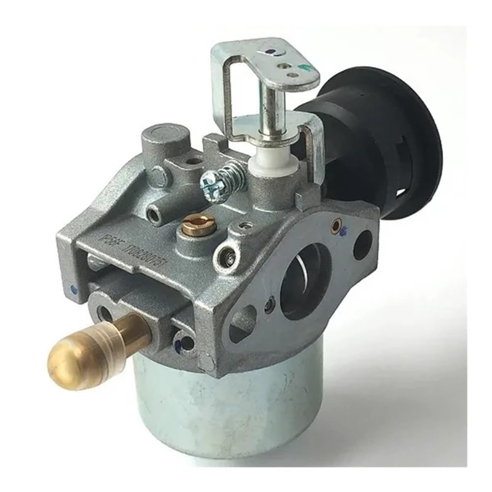 Carburateur 15mm 1P56F résout les pannes de démarrage sur moteur vertical