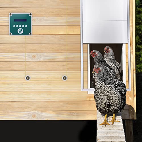 UISEBRT Hühnerklappe Automatische Hühnertür Elektrische Chicken Coop 30 x 30cm Hühnerstall Tür mit Zeitgeber und… – Bild 8