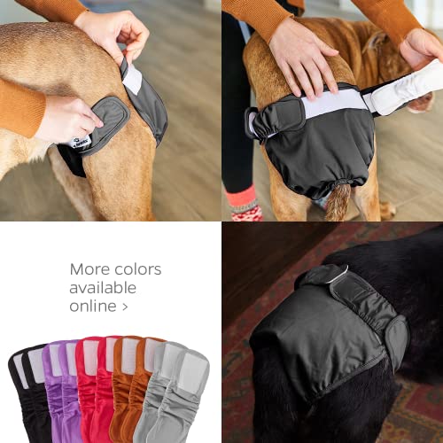 Pet Parents Premium Washable Dog Diapers & Extendrs, (3Pack) Of Female Dog Diapers & Male Dog Diapers, Color: Black, Size: Small Dog Diapers #TOP3