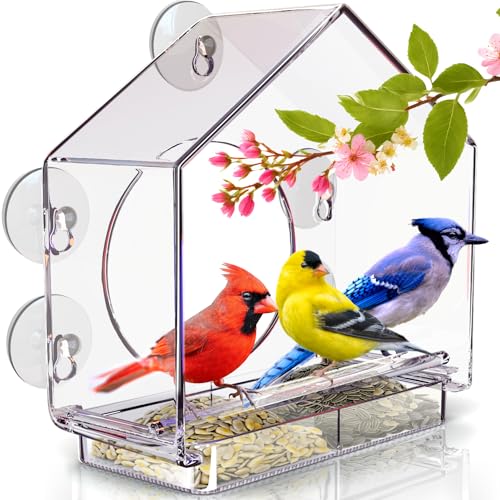Premium Window Bird Feeder for Outside - Clear Bird House w/Largest Window for Viewing Birds - Easy to Install & Sturdy Feeder w/Extra Strong Suction Cups - Perfect for Kids, Adults and Cats