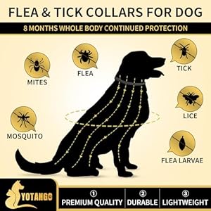 4 pack flea collar for dogs 32 months flea and tick prevention for dogs waterproof dog flea collar dog flea and tick treatment adjustable flea and tick collar for dogs puppy black  urban country home decor
