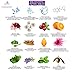 Rejuvenating Peptide Serum by Alluriza Naturals Vitamin C E, Hyaluronic Acid, CoQ10, Anti Aging Skin Care, Anti Wrinkle Natural Serum for Plumper & Firmer looking Skin, Collagen Booster, 1oz, 30ml
