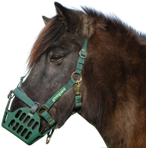 greenguard Set (Muzzle Headcollar Size: 66
